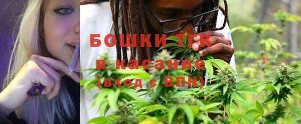 PSILOCYBIN Абаза