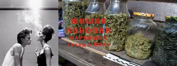 PSILOCYBIN Абаза
