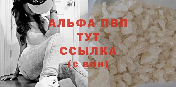 PSILOCYBIN Абаза