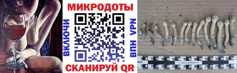 цены   Александров  гидра как войти  Псилоцибиновые грибы Cubensis 