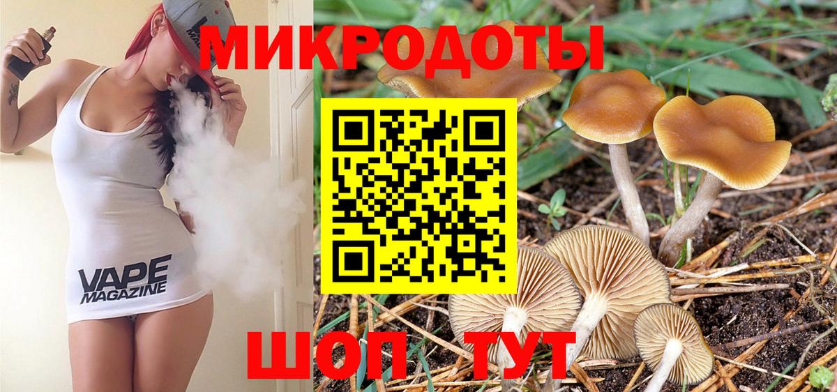 Псилоцибиновые грибы мухоморы Александров