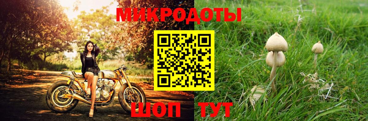 Галлюциногенные грибы прущие грибы  Псилоцибиновые грибы Psilocybine cubensis  Александров  Вход с VPN 